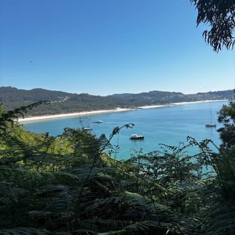 227aeb00-8bb1-402b-b37c-8bc976327696