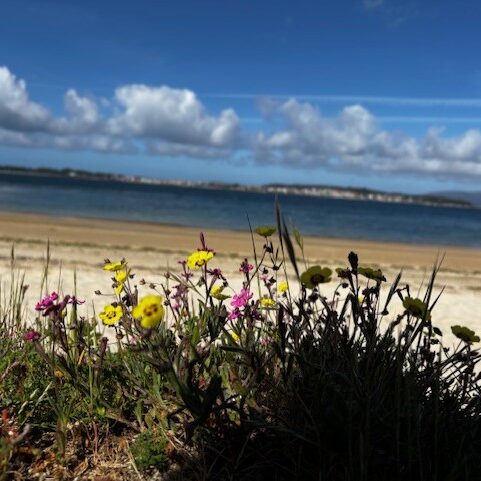 8c95e5a8-9bd9-4076-af77-07d7de266ca5