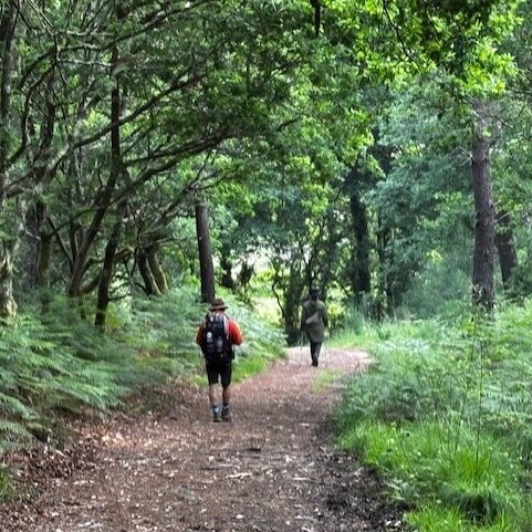 c215eba2-5d31-412d-aef1-151a1f45947f