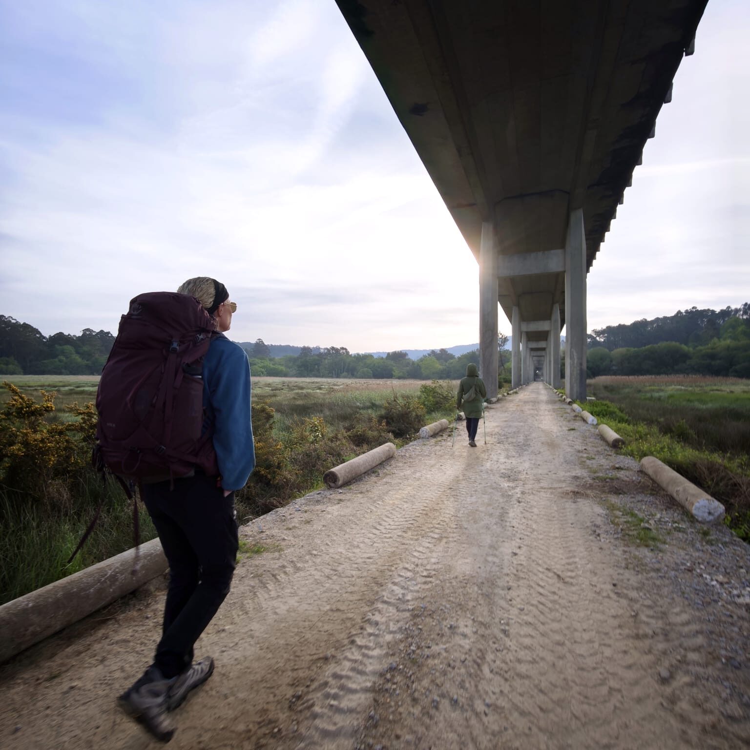 d33261bd-588d-4597-beba-147dae6d6a8f