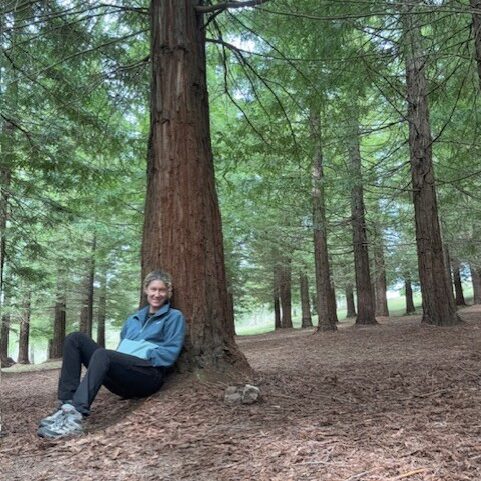 e55e31d4-2058-4d5b-b877-3b07a472e95f