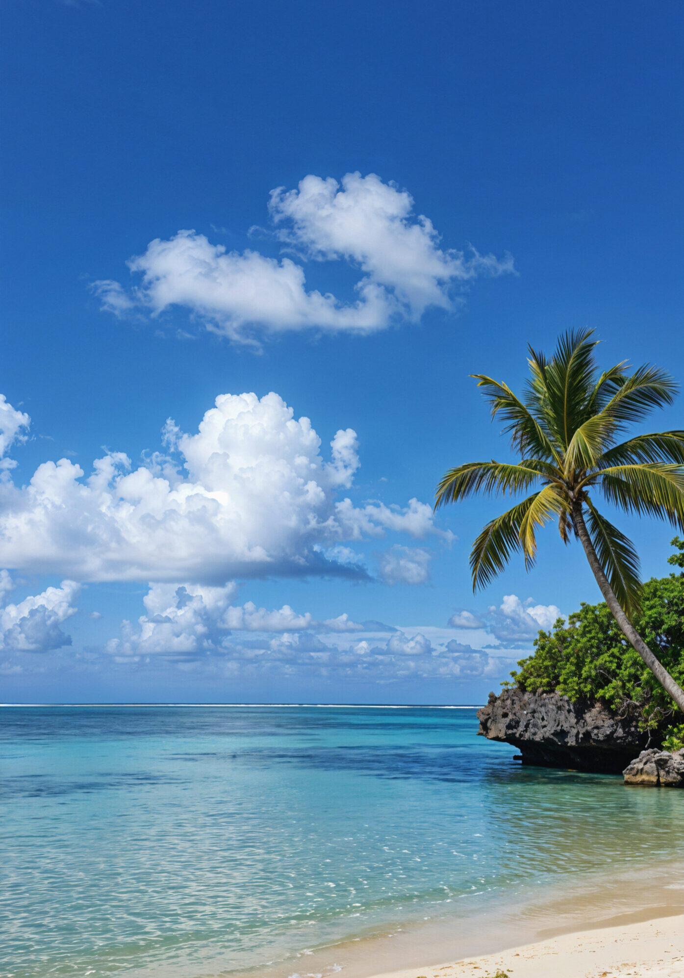 tropical-beach-paradise-with-palm-tree-blue-sky